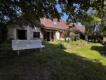 paty immobilier