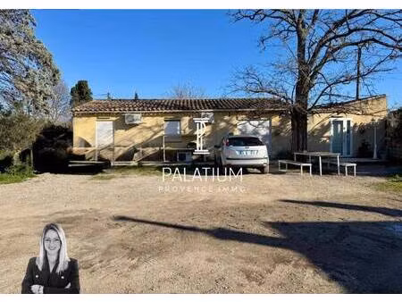 palatium immobilier