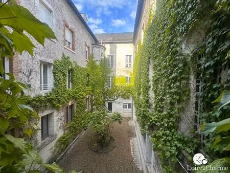 loire et charme immobilier