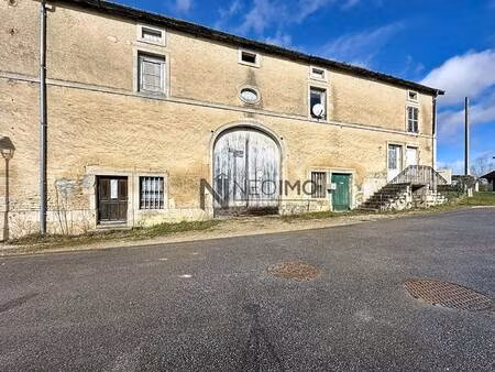 neo imo