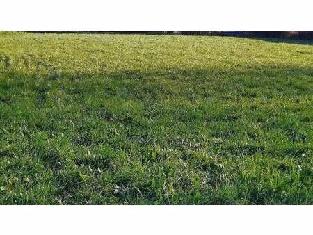 terrain constructible à vendre