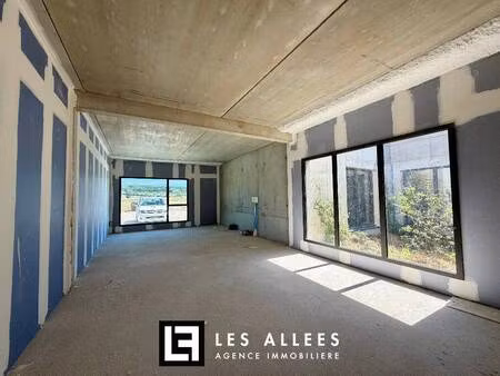 immobilière les allées
