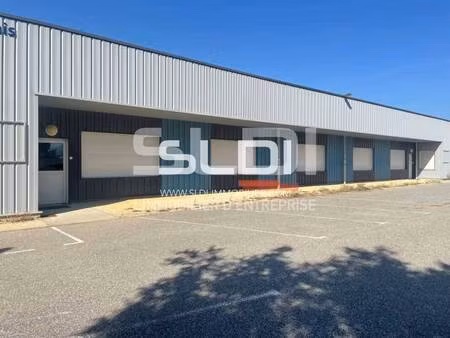 sldi