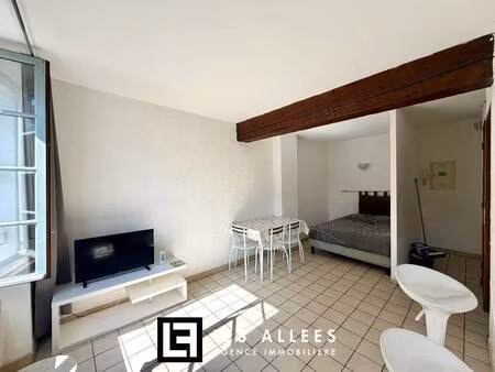immobilière les allées