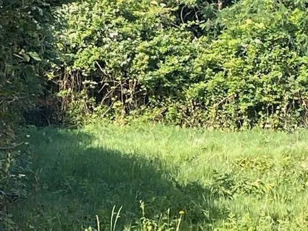 terrain constructible à vendre