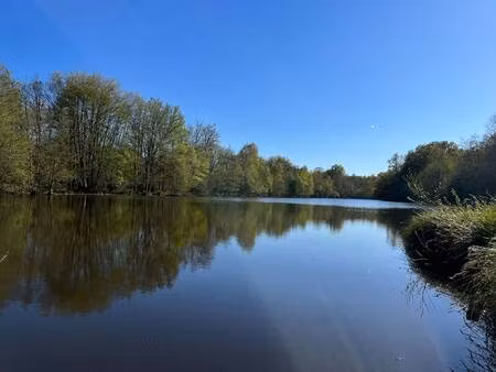 terrain de chasse à vendre
