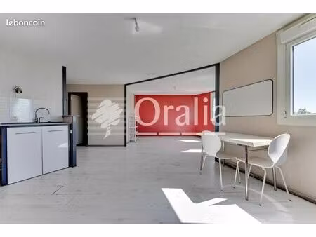 studio 1 pièce 37 m²