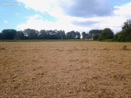 yerrain 1500m2 entre clairegoutte et magny d'anigon