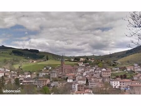 immeuble de rapport - maison - commerce possible