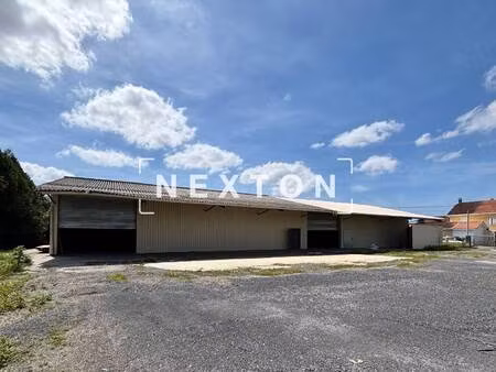 nexton immobilier