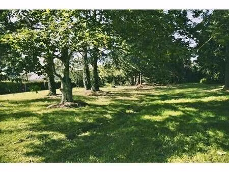 terrain constructible viabilisé à vendre