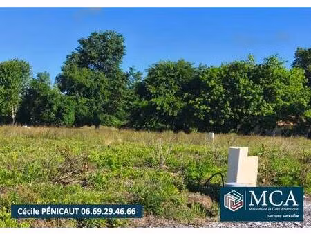 terrain constructible viabilisé à vendre