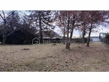 veronique holleville bsk immobilier