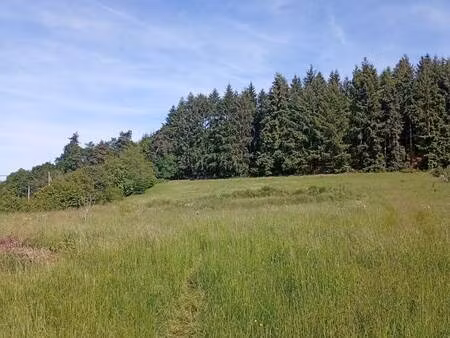 terrain à vendre