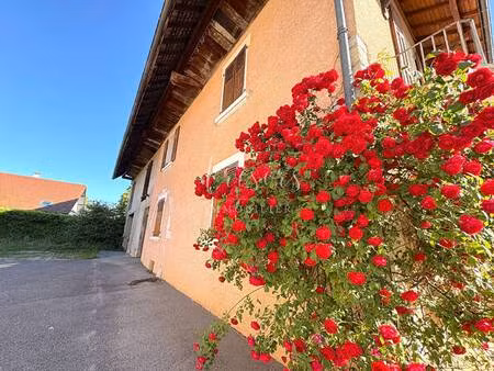 trésors immobilier