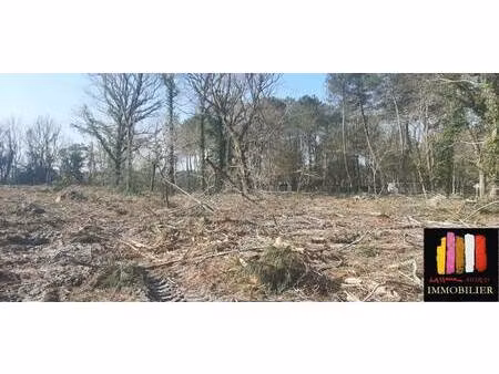 terrain constructible viabilisé à vendre