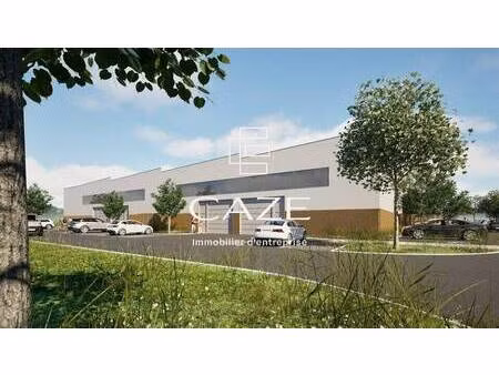 mgd conseil caze immobilier d'entreprise