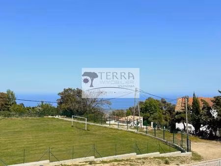 terra immobilier solenzara