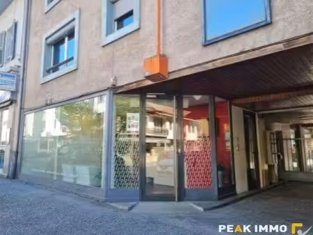 peak immobilier sallanches