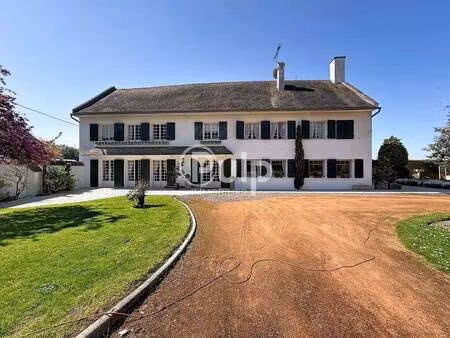 pulp immobilier sas