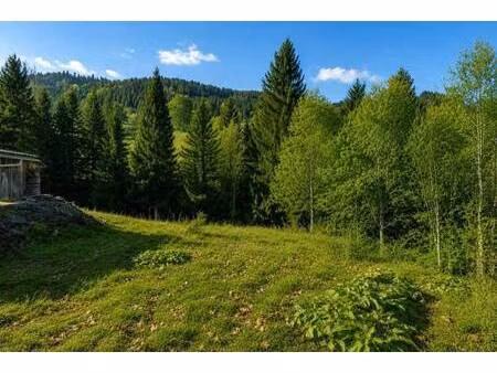 terrain à vendre