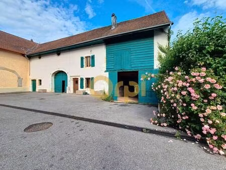 salève immobilier