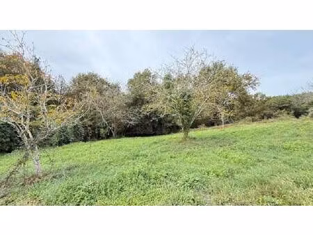 terrain constructible viabilisé à vendre