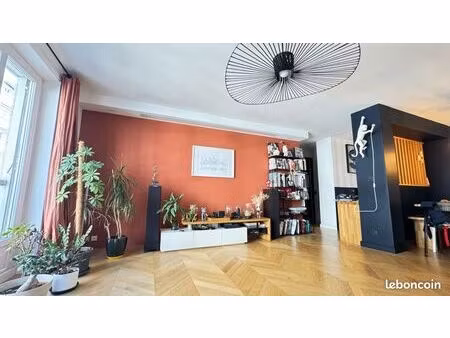 grand appartement familial lyon 6ème