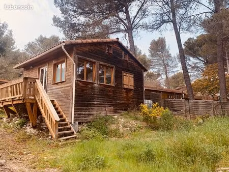 chalet en bois  vue sur une pinède