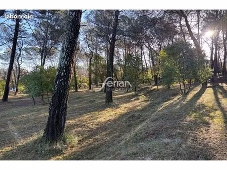 terrain 7100 m² callas