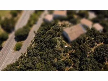 village immobilier