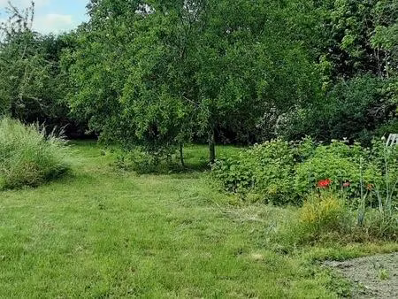 terrain constructible