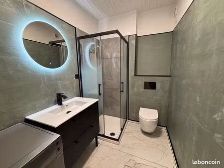 appartement t3 ultra centre de gex