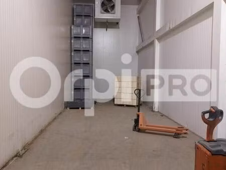 local d'activité 60 m²