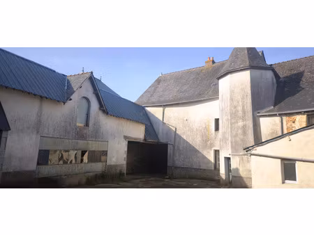 ensemble immobilier chémeré-le-roi