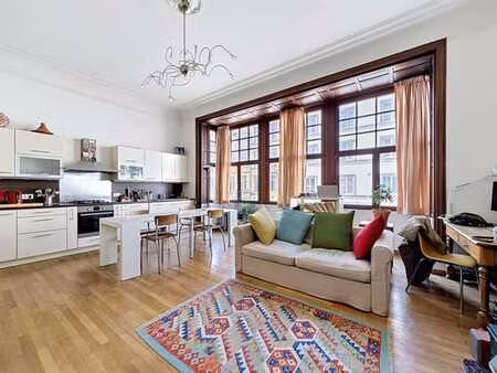 spacieux et lumineux appartement 1 chambre