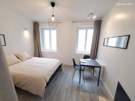 magnifique t1 refait à neuf  très bien équipé - sens centre