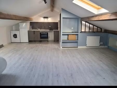 studio meublé 55 m² au sol – climatisation – cuisine équipée