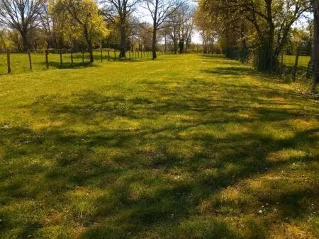 terrain constructible 2000m2