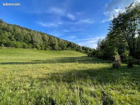 à vendre - terrain de 12 396 m2 (non constructible)