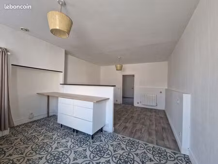 logement  1 chambre  jardin centre st pourçain