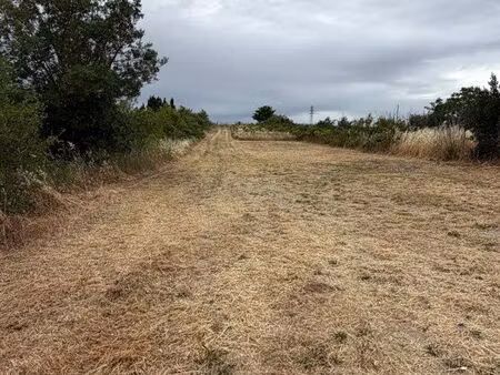 loue terrain