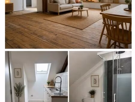studio loft rénové 27 m² / 56 m² au sol – 08240 buzancy – 340 hc