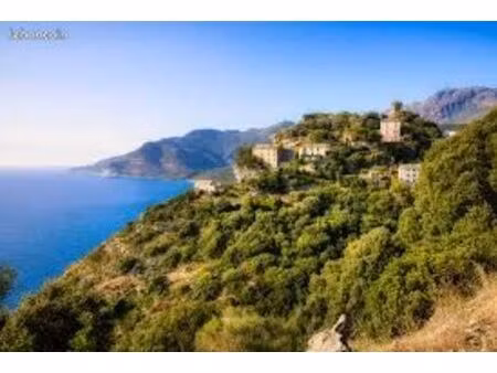 cherche appartement ou maison de village