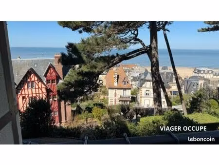 studio en viager 1 pièce 24 m²