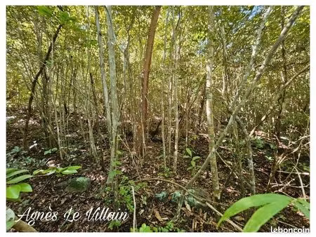terrain 2 382 m² bouillante