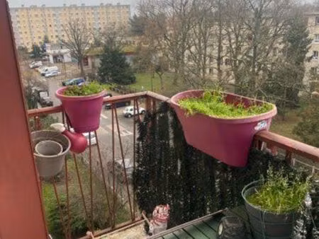 appartement f5