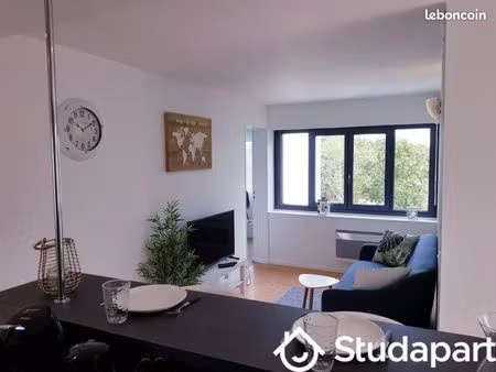 chambre 1 pièce 13 m²