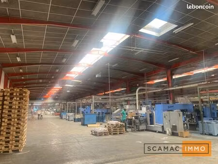 local industriel 3 440 m²