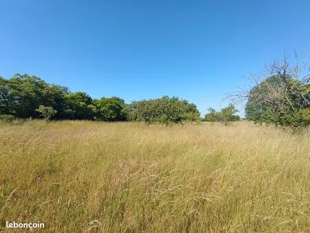 terrain 3 000 m² coulonges